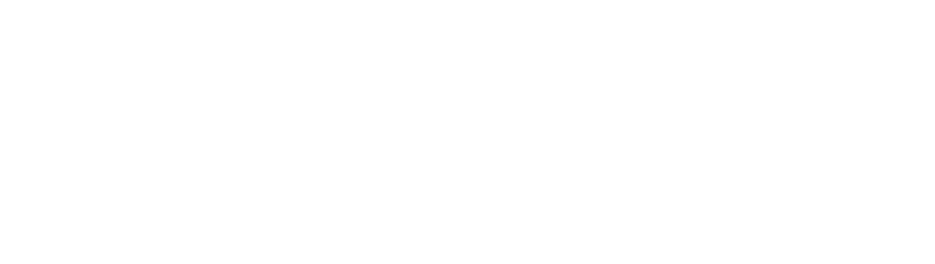 idlayr logo